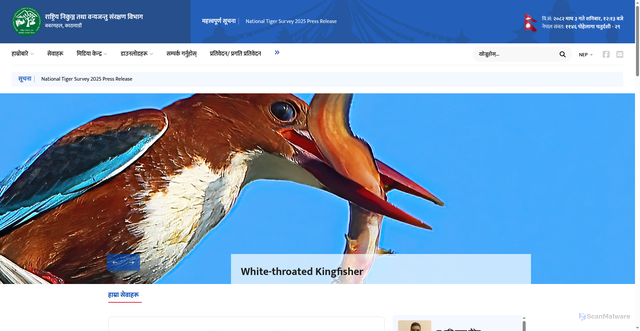 Security scan screenshot of https://www.dnpwc.gov.np/