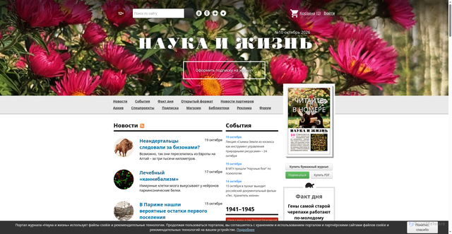 Security scan screenshot of https://www.nkj.ru