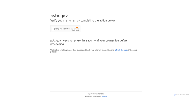 Security scan screenshot of https://pvtx.gov/