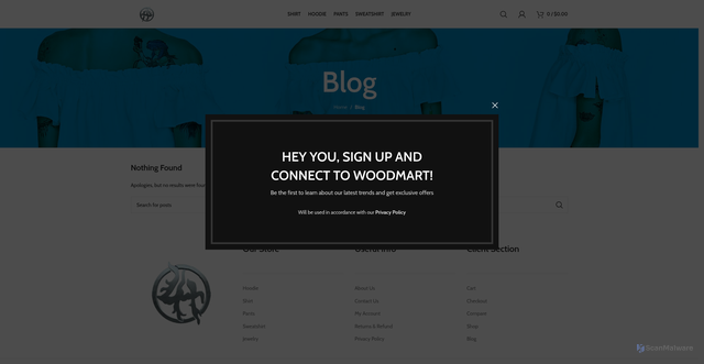 Security scan screenshot of https://losthillsclothings.com/blog/