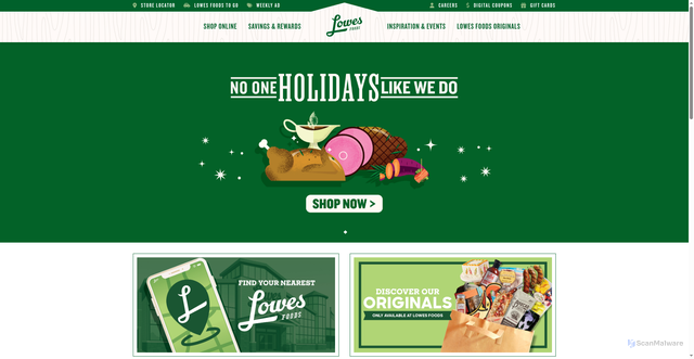 Security scan screenshot of https://www.lowesfoods.com/