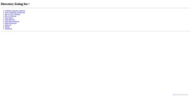 Security scan screenshot of http://166.88.95.90:8088
