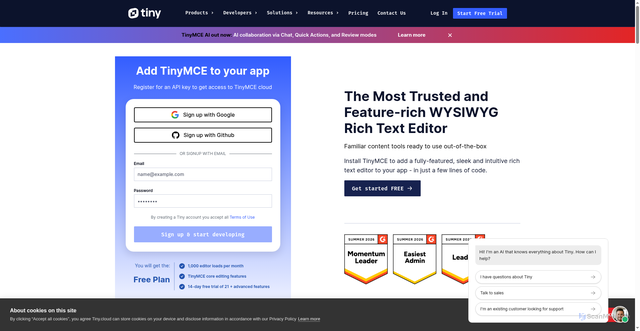 Security scan screenshot of https://drive.tiny.cloud
