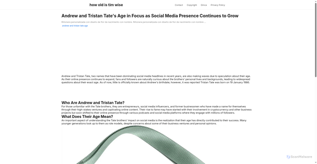 Security scan screenshot of https://pelangiasikworld-dpsmpz5348du.edgeone.app/andrew-and-tristan-tate-age.html