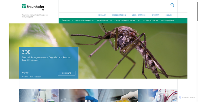 Security scan screenshot of https://www.izi.fraunhofer.de/