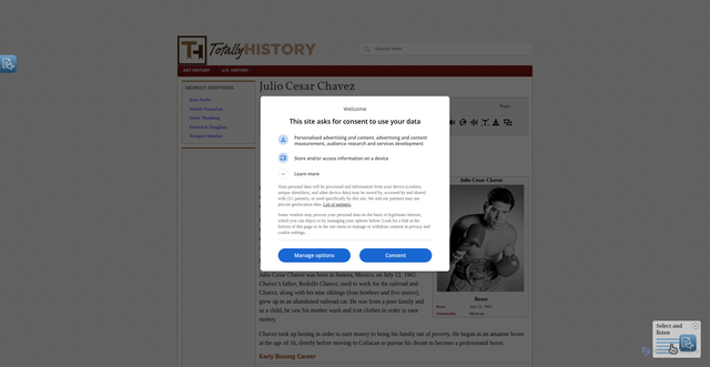 Security scan screenshot of https://totallyhistory.com/julio-cesar-chavez/