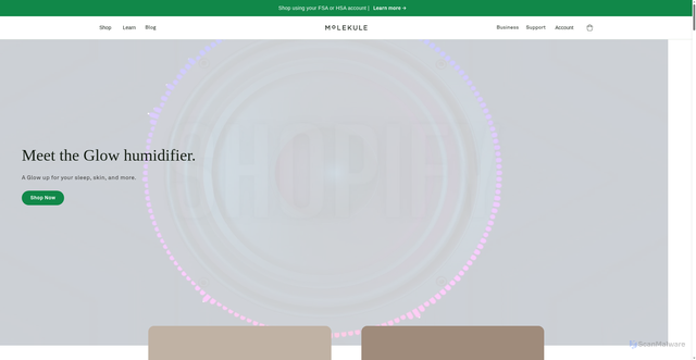 Security scan screenshot of https://molekule.com