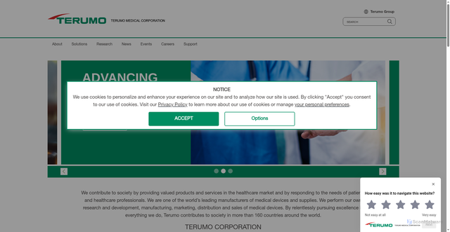 Security scan screenshot of https://www.terumomedical.com/