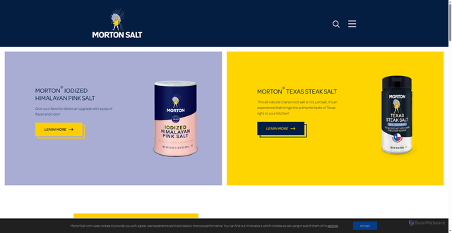 Security scan screenshot of https://mortonsalt.com
