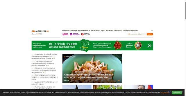 Security scan screenshot of https://altapress.ru