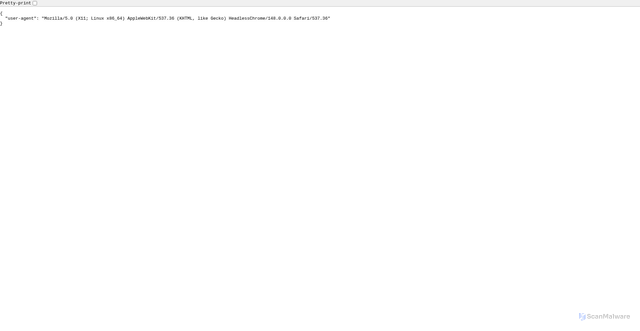 Security scan screenshot of https://httpbin.org/user-agent?v2