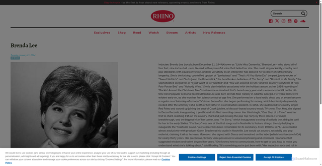 Security scan screenshot of https://www.rhino.com/article/brenda-lee