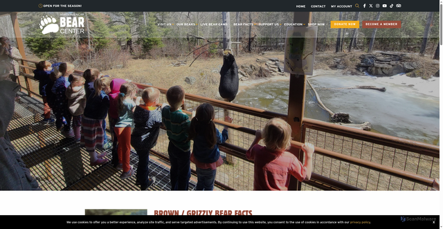 Security scan screenshot of https://bear.org/bear-facts/brown-grizzly-bear-facts/