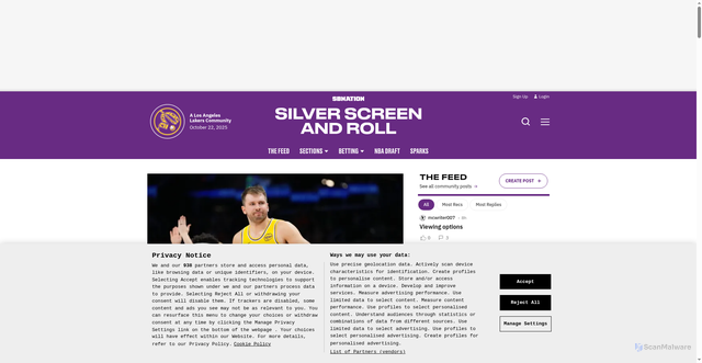 Security scan screenshot of https://www.silverscreenandroll.com/