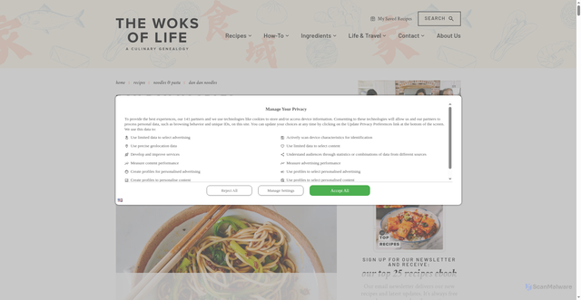 Security scan screenshot of https://thewoksoflife.com/dan-dan-noodles/