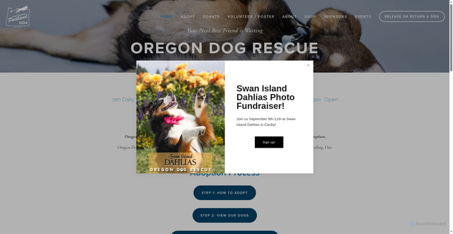 Security scan screenshot of https://www.oregondogrescue.org/