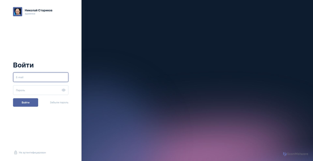 Security scan screenshot of https://api.nstarikov.ru