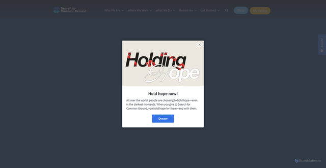 Security scan screenshot of https://www.sfcg.org/