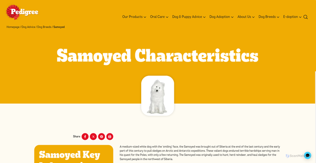 Security scan screenshot of https://www.uk.pedigree.com/dog-advice/dog-breeds/samoyed