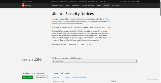 Security scan screenshot of https://ubuntu-mirror-2.ps6.canonical.com