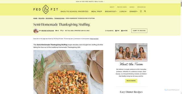 Security scan screenshot of https://fedandfit.com/semi-homemade-thanksgiving-stuffing/
