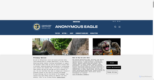 Security scan screenshot of https://www.anonymouseagle.com/
