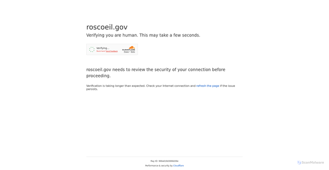 Security scan screenshot of https://roscoeil.gov/