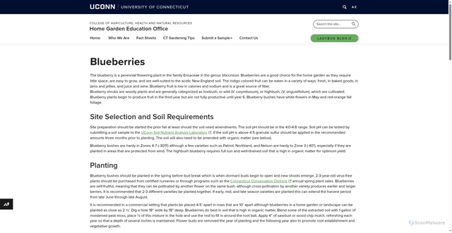 Security scan screenshot of https://homegarden.cahnr.uconn.edu/factsheets/blueberries/