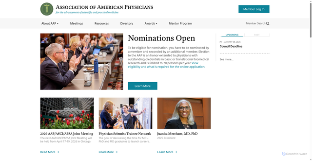 Security scan screenshot of https://aap-online.org