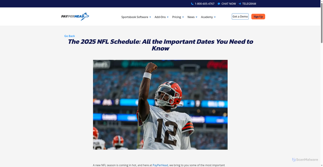 Security scan screenshot of https://payperhead.com/news/nfl/2025-nfl-schedule/