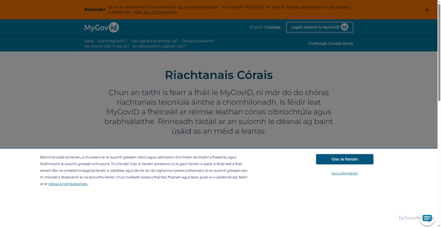 Security scan screenshot of https://partial2.mygovid-nonprod.ie/ga-IE/SystemRequirements/Index