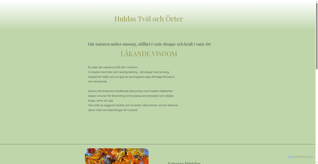 Security scan screenshot of https://huldastvalochorter.se