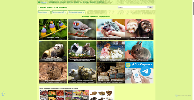 Security scan screenshot of https://www.zoospravka.ru
