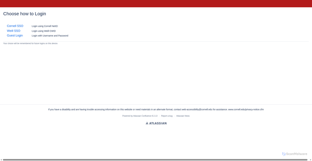 Security scan screenshot of https://confluence.cornell.edu