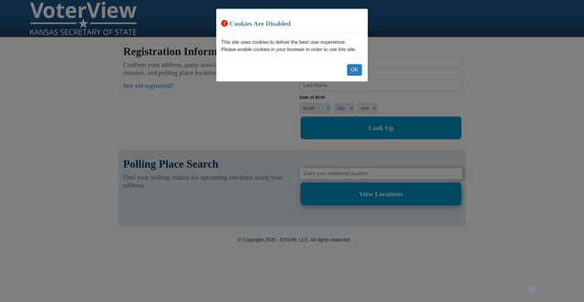Security scan screenshot of https://ksvoterinfo.gov/VoterView