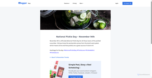 Security scan screenshot of https://www.hopperhq.com/social-media-holiday-calendar/november/national-pickle-day/