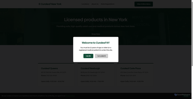 Security scan screenshot of http://curaleafnyc.online/