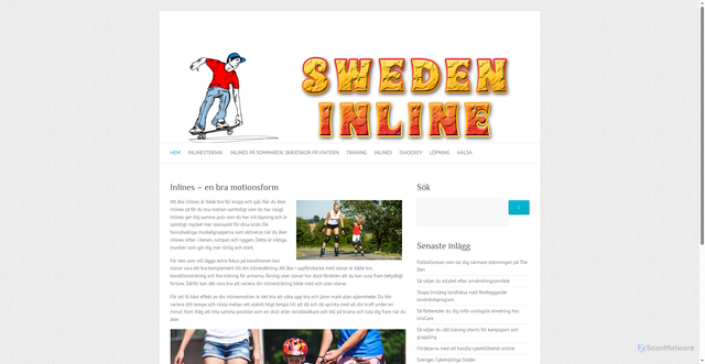 Security scan screenshot of https://swedeninline.com/