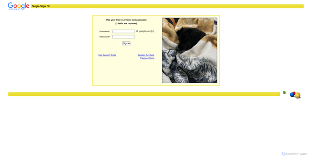 Security scan screenshot of https://l2-uberproxy.corp.google.com
