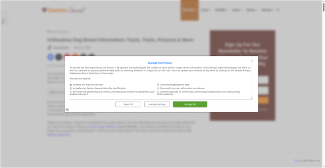 Security scan screenshot of https://www.caninejournal.com/chihuahua/