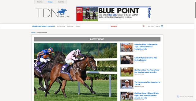 Security scan screenshot of https://thoroughbreddailynews.com