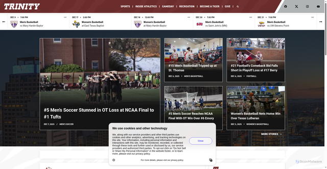 Security scan screenshot of https://trinitytigers.com/