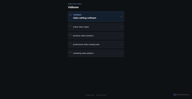 Security scan screenshot of https://vidloom.com
