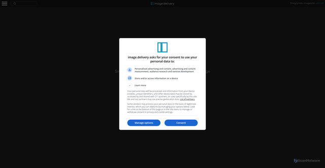 Security scan screenshot of https://image.delivery