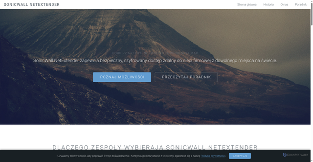 Security scan screenshot of https://netextender.pl