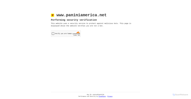 Security scan screenshot of https://www.paniniamerica.net