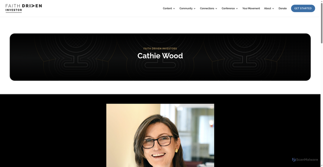 Security scan screenshot of https://faithdriveninvestor.org/cathie-wood/
