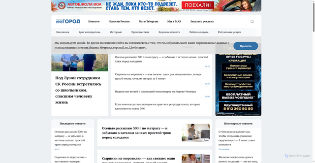 Security scan screenshot of https://prochepetsk.ru