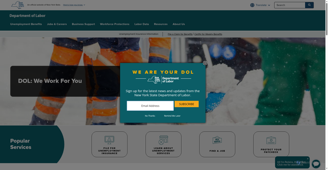 Security scan screenshot of https://dol.ny.gov