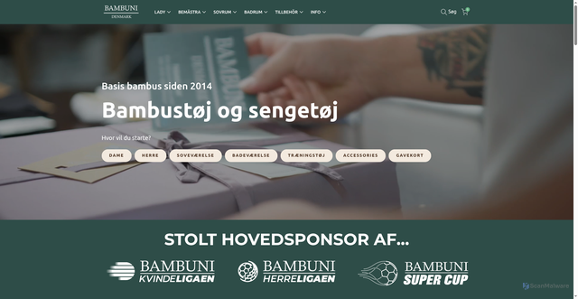 Security scan screenshot of https://bambuni.se